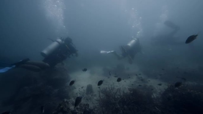 潜水员游泳探索深海