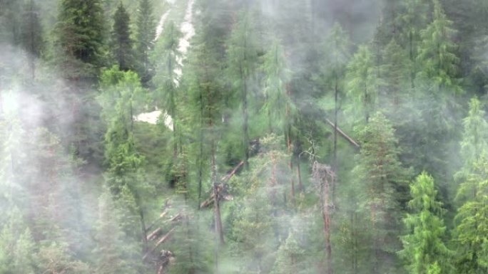 空中无人机拍摄了多洛米蒂与福雷斯，白云岩山脉，白云岩阿尔卑斯山或白云岩阿尔卑斯山的雾状松树树林，是位