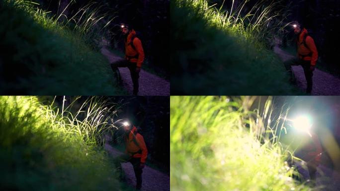 POV用头灯探索夜间森林: 幽灵般的冒险