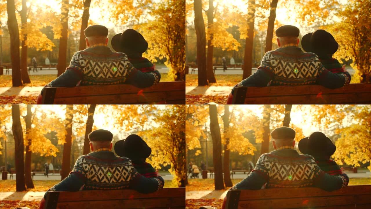 高级夫妇在公园享受日落，坐在阳光下的长凳上。秋叶颜色。大自然的美