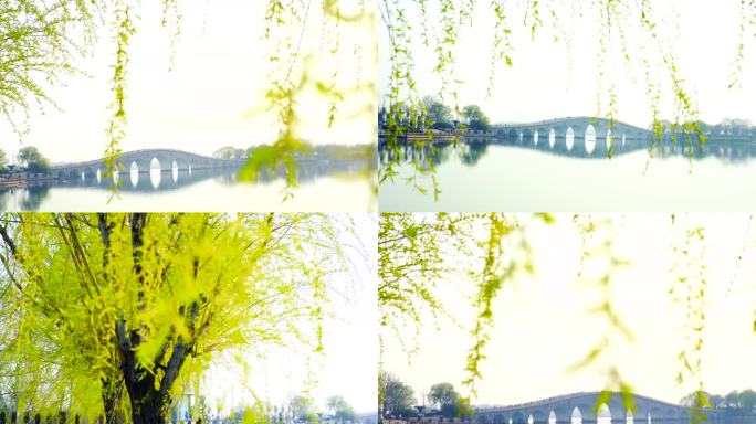 春天公园空镜合集 桥 湿地公园 初春柳枝