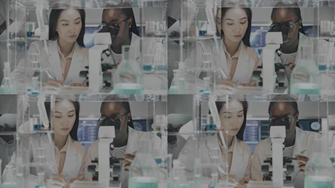 从事显微镜工作的非洲和亚洲女性科学家。浏览实验室玻璃器皿