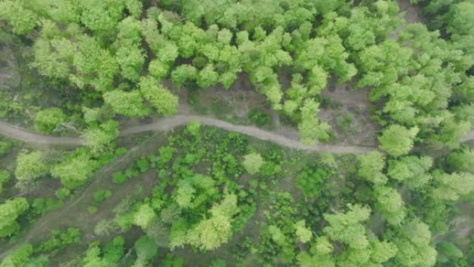 空中无人机可以看到茂密的绿色森林，森林砍伐的迹象