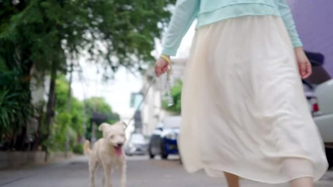 亚洲妇女带着狗在街道，村庄，房屋上散步