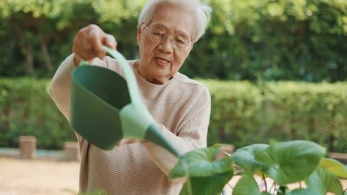 老年亚洲女性户外浇水植物