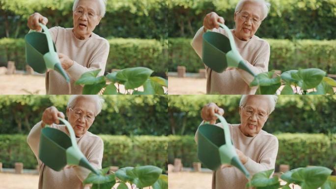 老年亚洲女性户外浇水植物