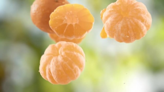 花园背景中的橘子和切片的飞行