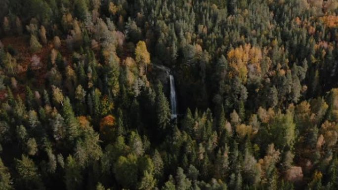 秋天森林的鸟瞰图小瀑布