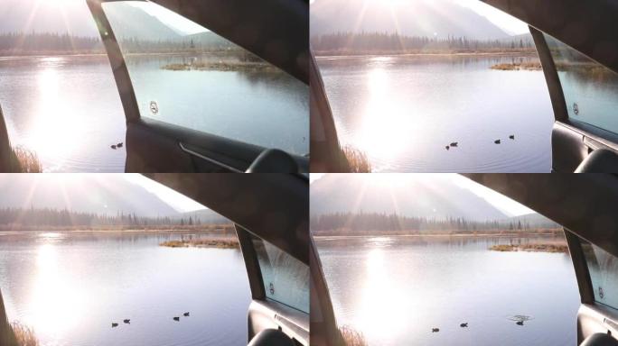 车门通向山湖和漂浮的鸭子