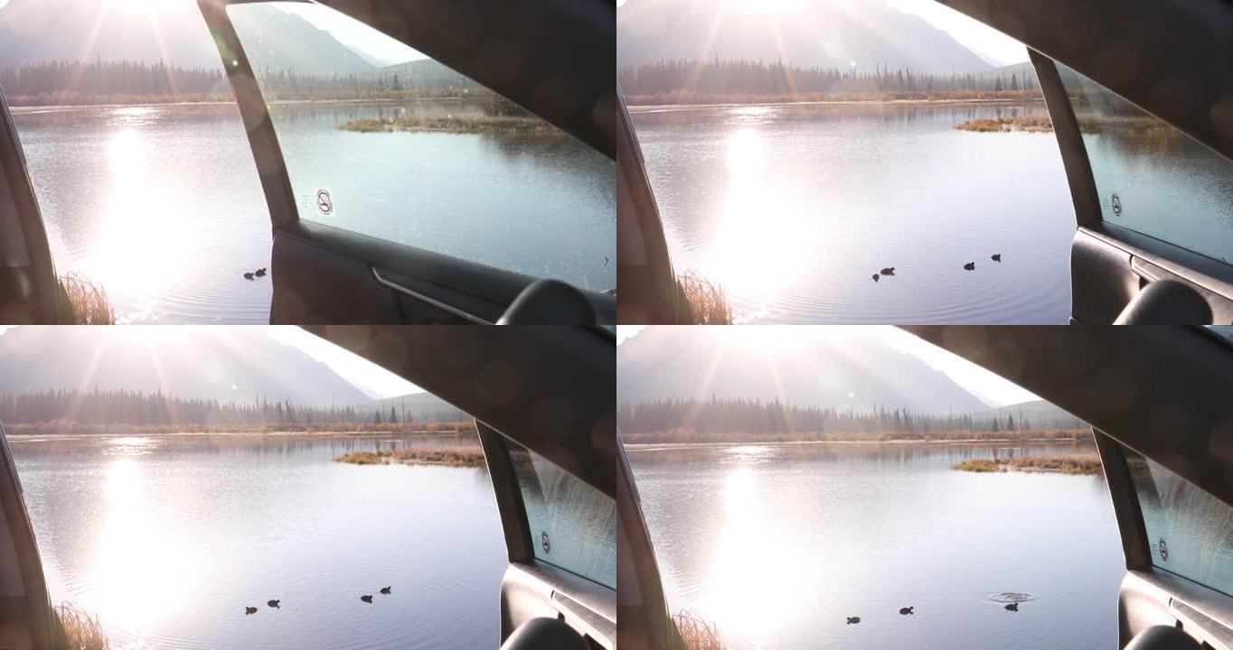 车门通向山湖和漂浮的鸭子