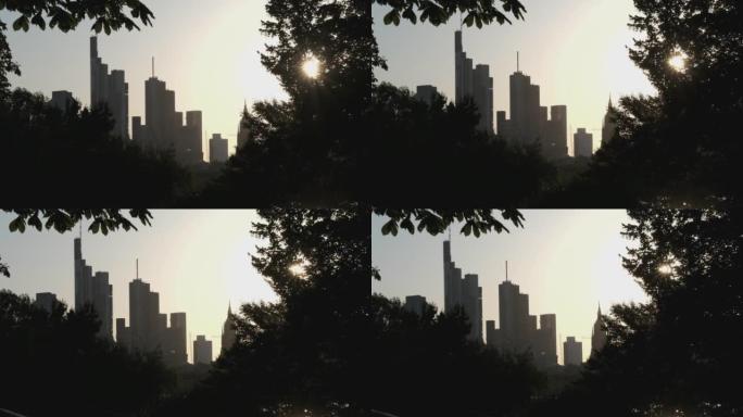 日落时城市的全景，前景是树木