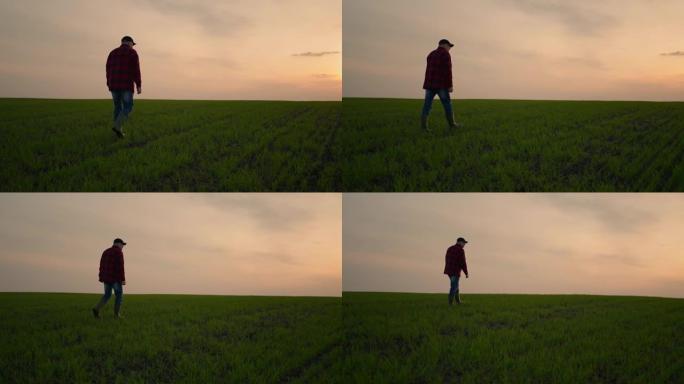 戴着帽子的高加索老农在美丽的日落时分沿着麦田里的小路走，脱下帽子。