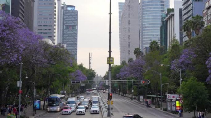 墨西哥城市中心郁郁苍苍峰回路转登峰造极