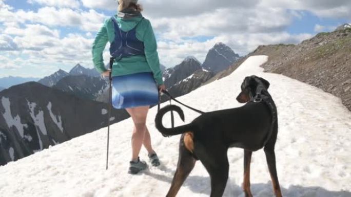女徒步旅行者和宠物狗在山顶上享受时光