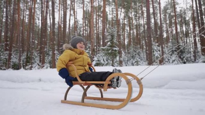 快乐的孩子男孩坐在木制雪橇上，在冬天的森林里骑着雪，家庭时间