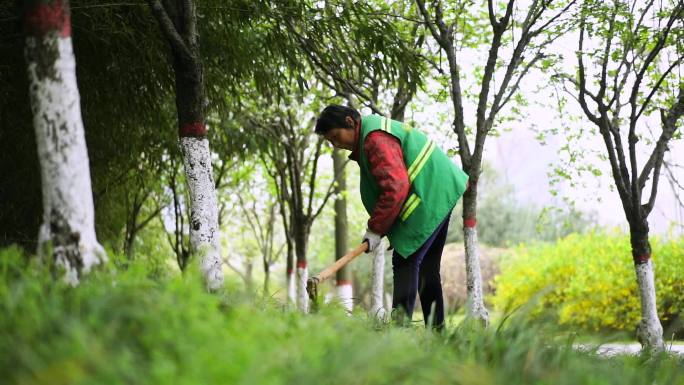 园林 工人 除草