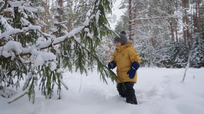 小孩子在冬天的森林里探索大自然，玩着雪的松枝