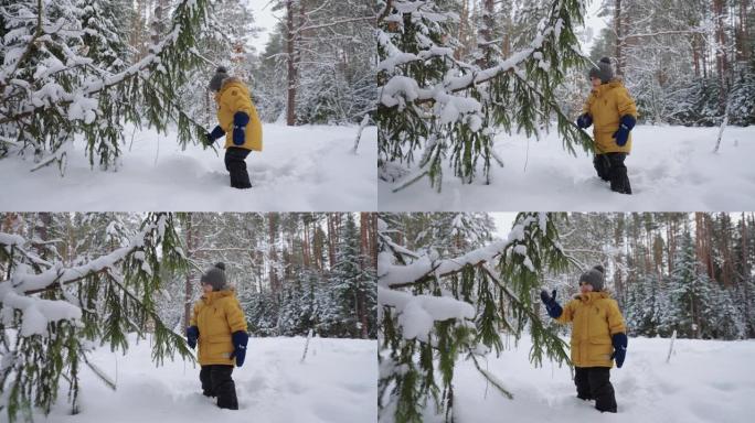 小孩子在冬天的森林里探索大自然，玩着雪的松枝