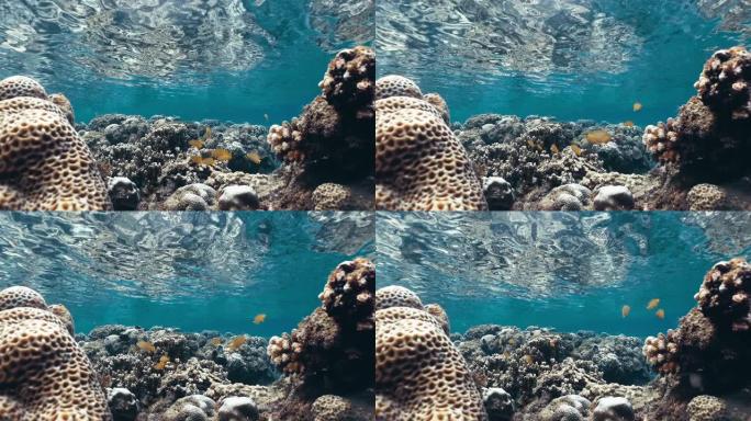 海底礁石的水下旅行镜头
