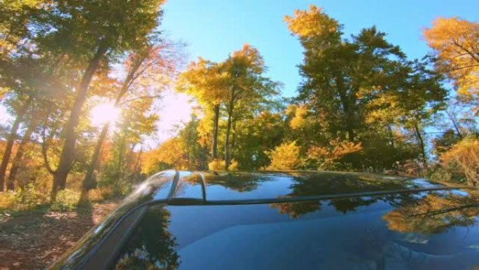 LD秋天的树木在森林道路上行驶时反映在汽车上