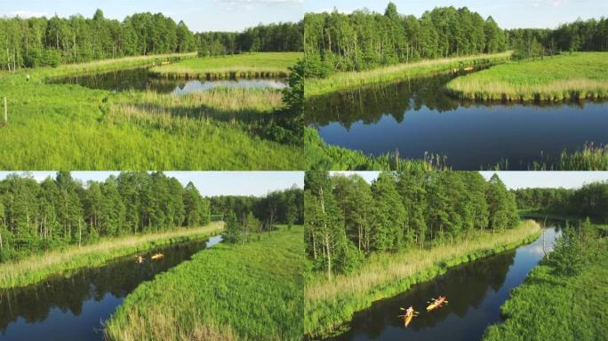 蜿蜒的克鲁蒂尼亚河流经森林和田野，在水上划皮划艇。波兰乡村无人机视图