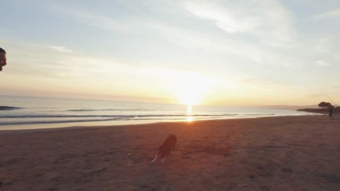 日落时在平静的海边与狗一起在海滩上慢跑