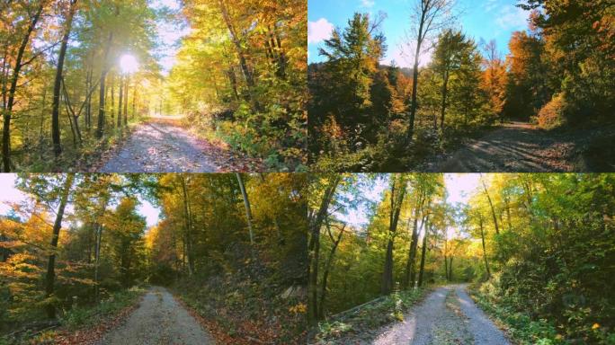 LD在秋天的晴天在森林道路上行驶
