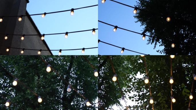 Light bulbs on the background of trees in summer.