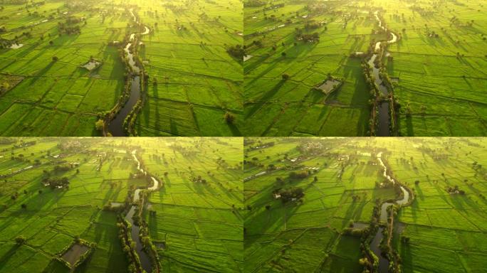 鸟瞰图，农村社区的稻田