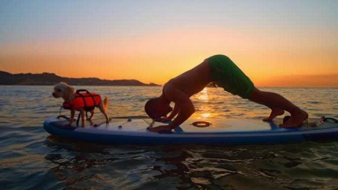 SLO MO Man在落日时在海上的桨板上做瑜伽，他的狗站在他旁边