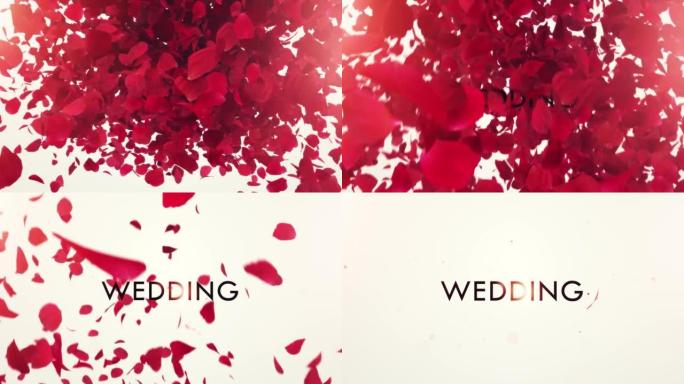 白色背景上的玫瑰花瓣爆炸，婚礼这个词，玫瑰花瓣飞舞，白色背景，婚礼庆典