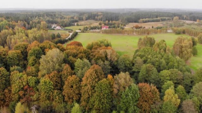 Aerial View Autumn Colorful Trees. Farmhouse, Hill