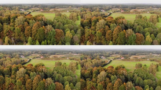 Aerial View Autumn Colorful Trees. Farmhouse, Hill