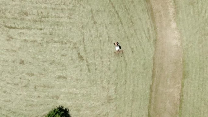 空中无人机在田野上的拖拉机上拍摄了一名农民