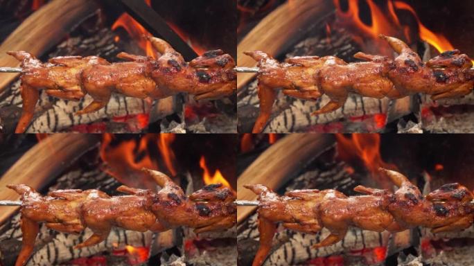 美味的烤鹌鹑串在篝火上烤