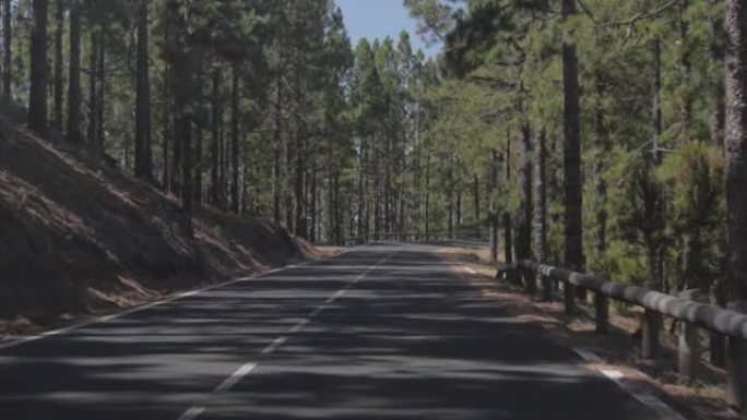 在森林中沿着道路行驶的第一人称视角