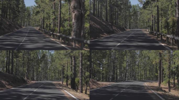 在森林中沿着道路行驶的第一人称视角