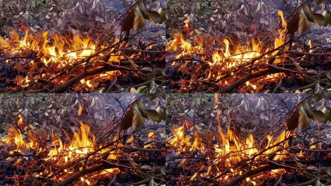 花园篝火的特写视图，燃烧的叶子和树枝上有明亮的黄红色火焰和灰烬。