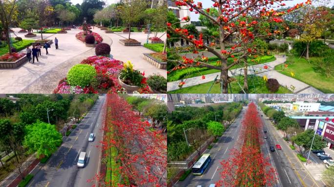 城市绿化 街道绿化 马路绿化 生态城市