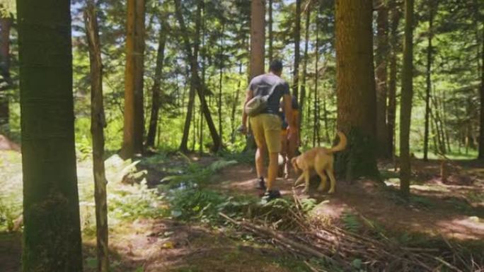 夫妇带着他们的狗在森林里徒步旅行，穿过布鲁克莱特