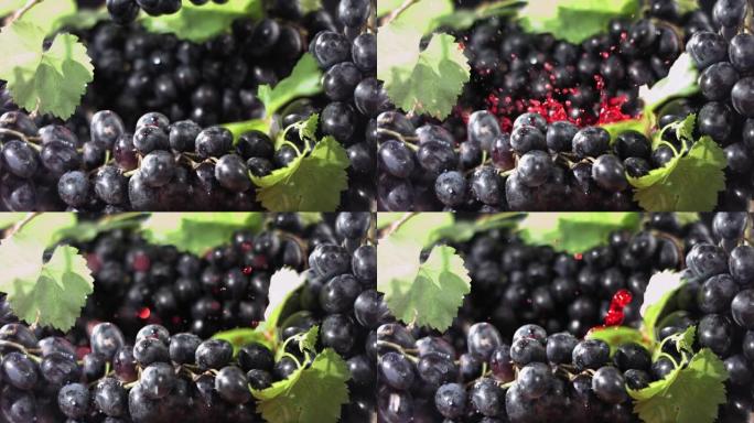 黑葡萄在果汁中掉落，在黑葡萄中飞溅。慢动作。