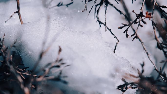 【4K】洁白雪花枯枝积雪光影