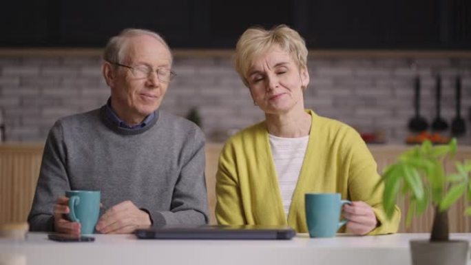 在线视频聊天概念，一对老配偶正在与相机交谈，在家庭厨房拍摄肖像