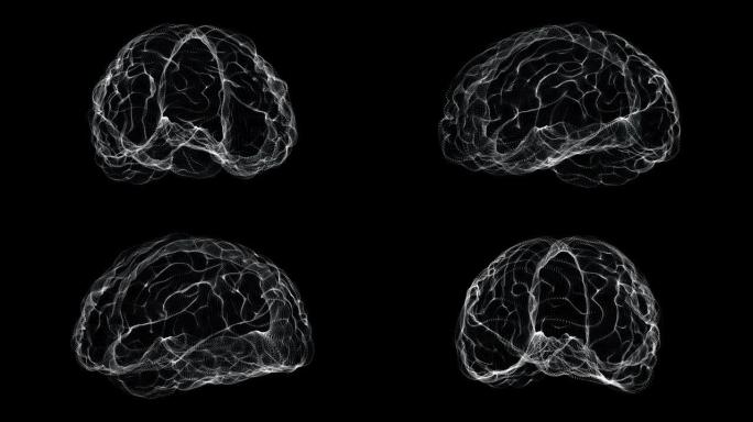 人体循环中大脑的全息图表示屏幕3d