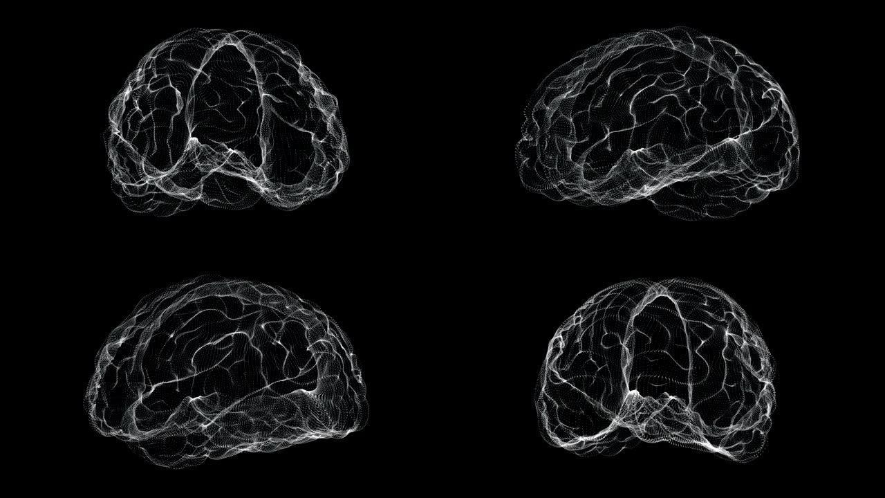 人体循环中大脑的全息图表示屏幕3d