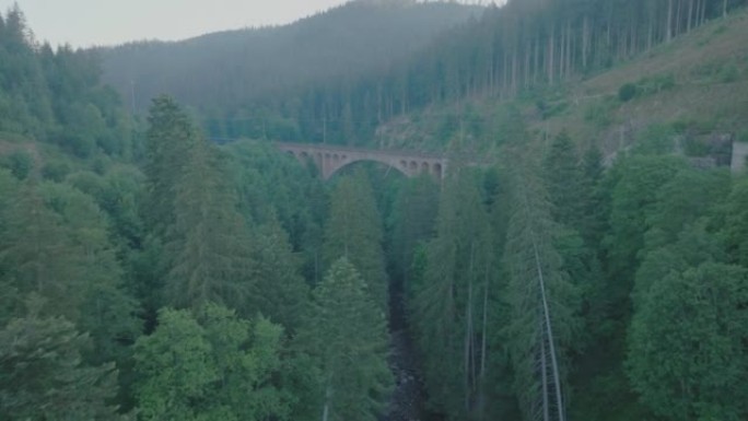 空中无人机在黄昏时拍摄森林中的火车桥