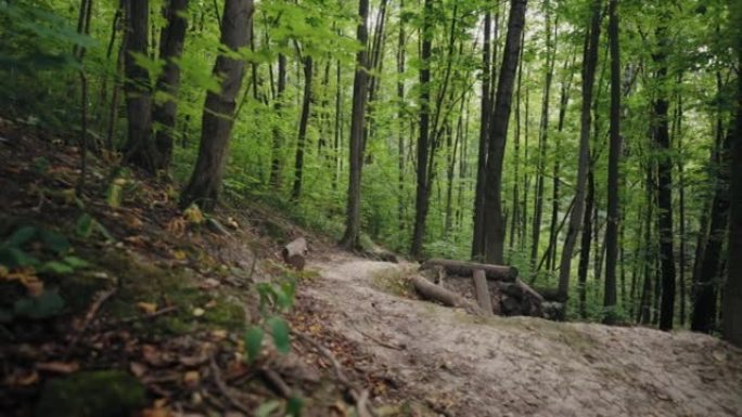一个专业的山地自行车骑行者在相机上高速骑行并跳过森林障碍物和蹦床的史诗般的镜头。穿越森林的大气镜头