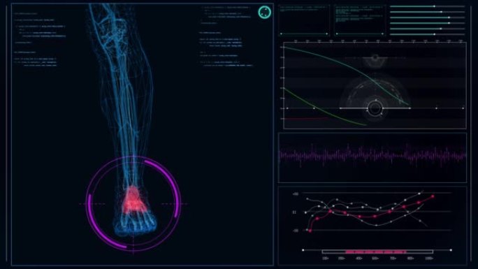 HUD与人体模型的接口。扫描虚拟患者的脚骨损伤。
