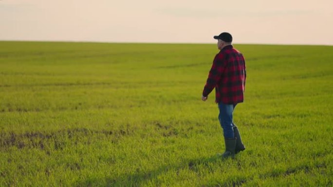 日落时，一个农民走过田野。农艺师检查田间种植的农产品。成功之路。