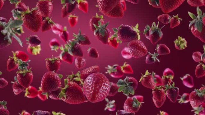 草莓，切片落在深紫红色背景上。